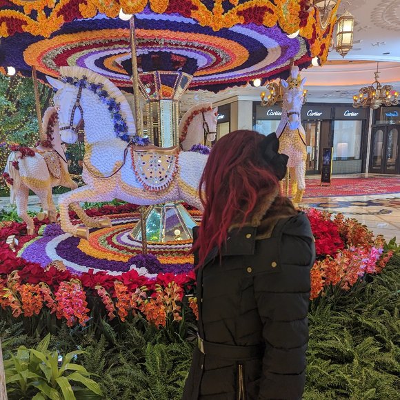 Meet your Posher, Lexi - Picture 1 of 1